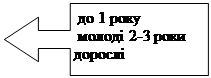    :   1 &#13;&#10;  2-3 &#13;&#10;&#13;&#10;&#13;&#10;&#13;&#10;